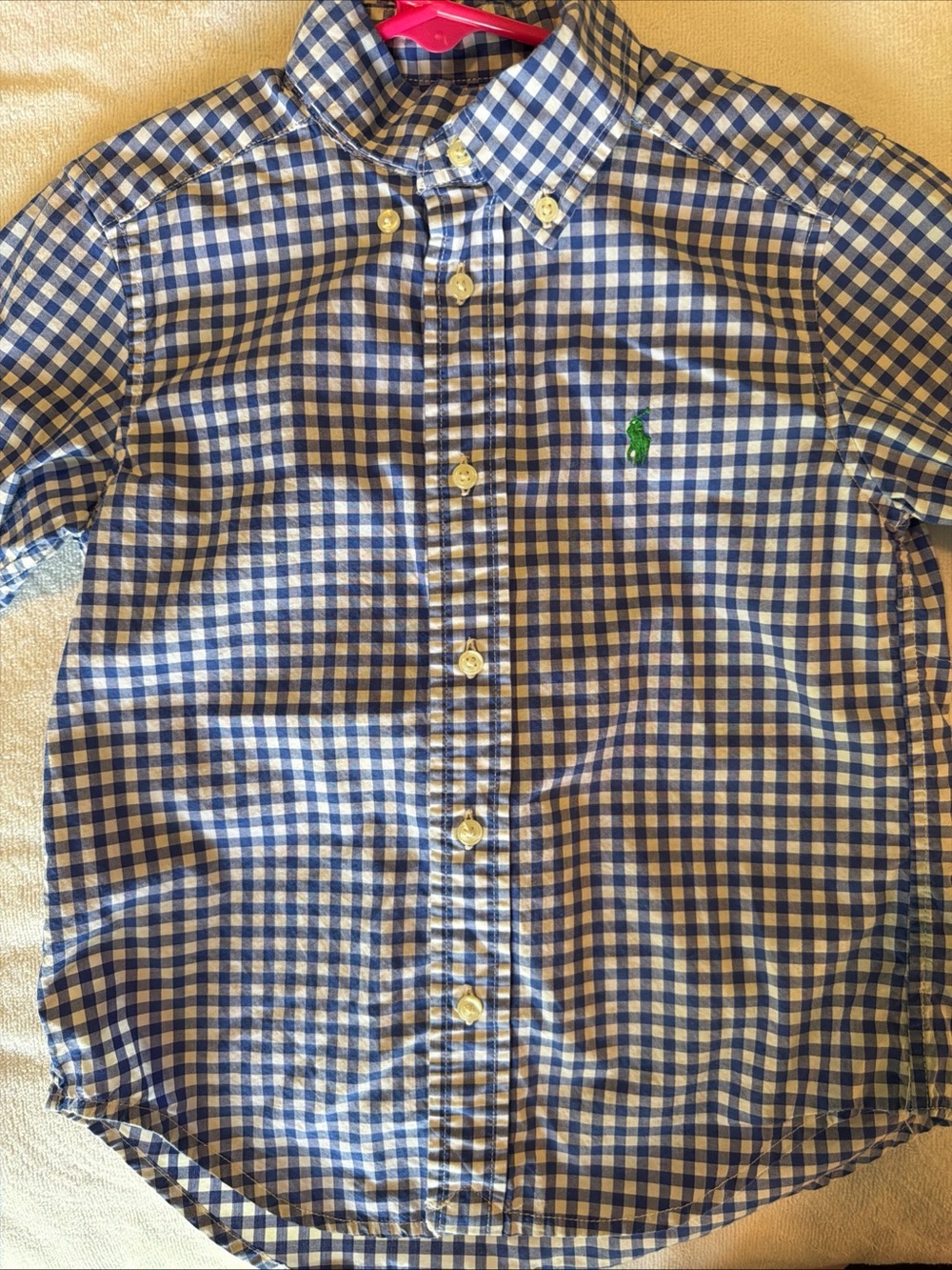 Ralph Lauren Blue and White Gingham Button-Down Shirt for Kids